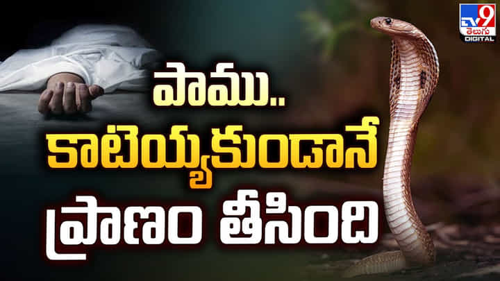 బైక్పై వెళ్తున్న దంపతులు.. కాటెయ్యకుండానే ప్రాణం తీసిన పాము బైక్పై వెళ్తున్న దంపతులు.. కాటెయ్యకుండానే ప్రాణం తీసిన పాము