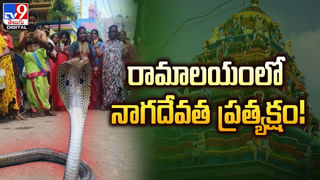 కోట్లకు పడగలెత్తిన స్వీపర్‌..అతని ఇంట్లో 9 లగ్జరీ కార్లు