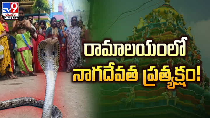 రామాలయంలో నాగదేవత ప్రత్యక్షం.. భయంతో పరుగులు తీసిన భక్తులు రామాలయంలో నాగదేవత ప్రత్యక్షం.. భయంతో పరుగులు తీసిన భక్తులు
