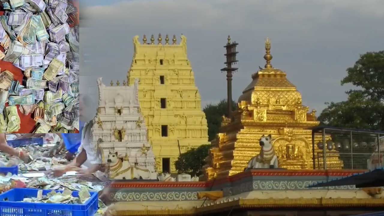 Watch Video: శ్రీశైలం మల్లన్నకు రికార్డు స్థాయిలో ఆదాయం.. ఎక్కువగా ఆ కరెన్సీ నోట్లు.. Watch Video: శ్రీశైలం మల్లన్నకు రికార్డు స్థాయిలో ఆదాయం.. ఎక్కువగా ఆ కరెన్సీ నోట్లు..