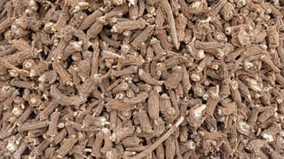 పొట్లకాయ తింటే పుట్టెడు లాభాలు.. తెలిస్తే ఇకపై అసలు వద్దనకుండా తింటారు..