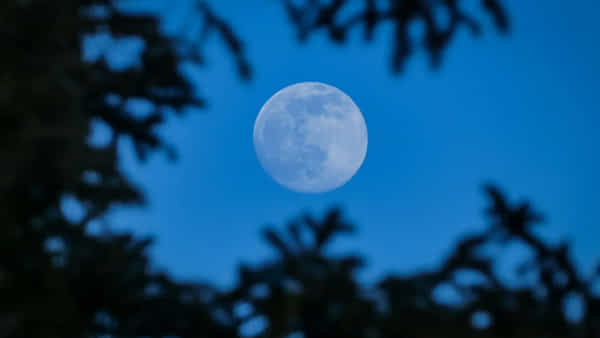 Super Blue Moon: రాఖీ పౌర్ణమి రోజున ఆకాశంలో అద్భుతం..! ఈ రోజు చంద్రుడు ఎలా ఉంటాడంటే..