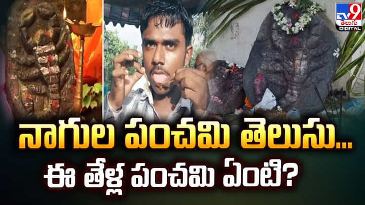 నాగుల పంచమి తెలుసు.. ఈ తేళ్ల పంచమి ఏంటి ?? నాగుల పంచమి తెలుసు.. ఈ తేళ్ల పంచమి ఏంటి ??