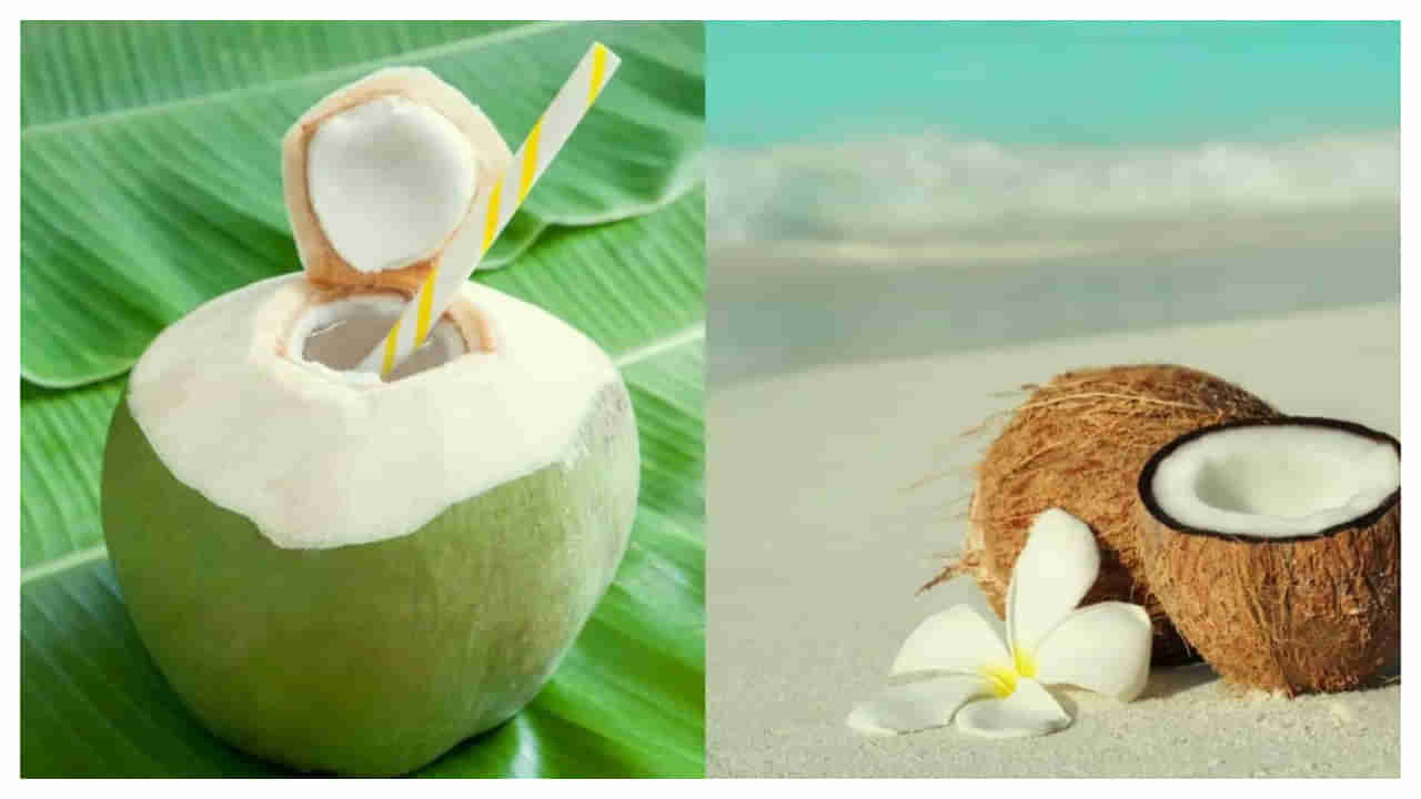 Tender Coconut vs Raw Coconut: లేత కొబ్బరి లేదా పచ్చి కొబ్బరి.. వీటిల్లో ఏది తింటే ఆరోగ్యానికి మంచిది..