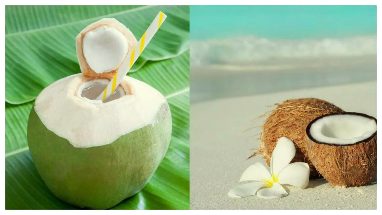 Tender Coconut vs Raw Coconut: లేత కొబ్బరి లేదా పచ్చి కొబ్బరి.. వీటిల్లో ఏది తింటే ఆరోగ్యానికి మంచిది..