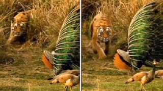 Viral Video: రాంగ్ రూట్‌లో వచ్చి రుబాబు.. తిక్క కుదర్చిన సైనికుడు.. వీడియో వైరల్