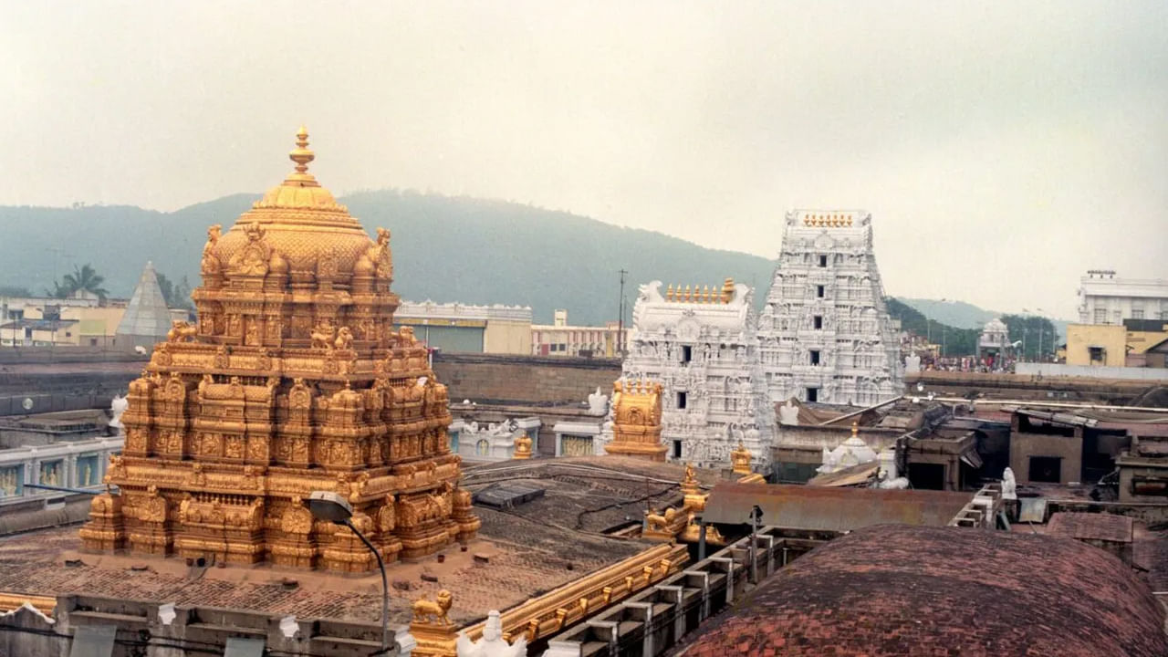 Tirumala: శ్రీవారి దర్శనం టికెట్లతో వ్యాపారం చేస్తే అంతే.. టీటీడీ హెచ్చరిక.. Tirumala: శ్రీవారి దర్శనం టికెట్లతో వ్యాపారం చేస్తే అంతే.. టీటీడీ హెచ్చరిక..