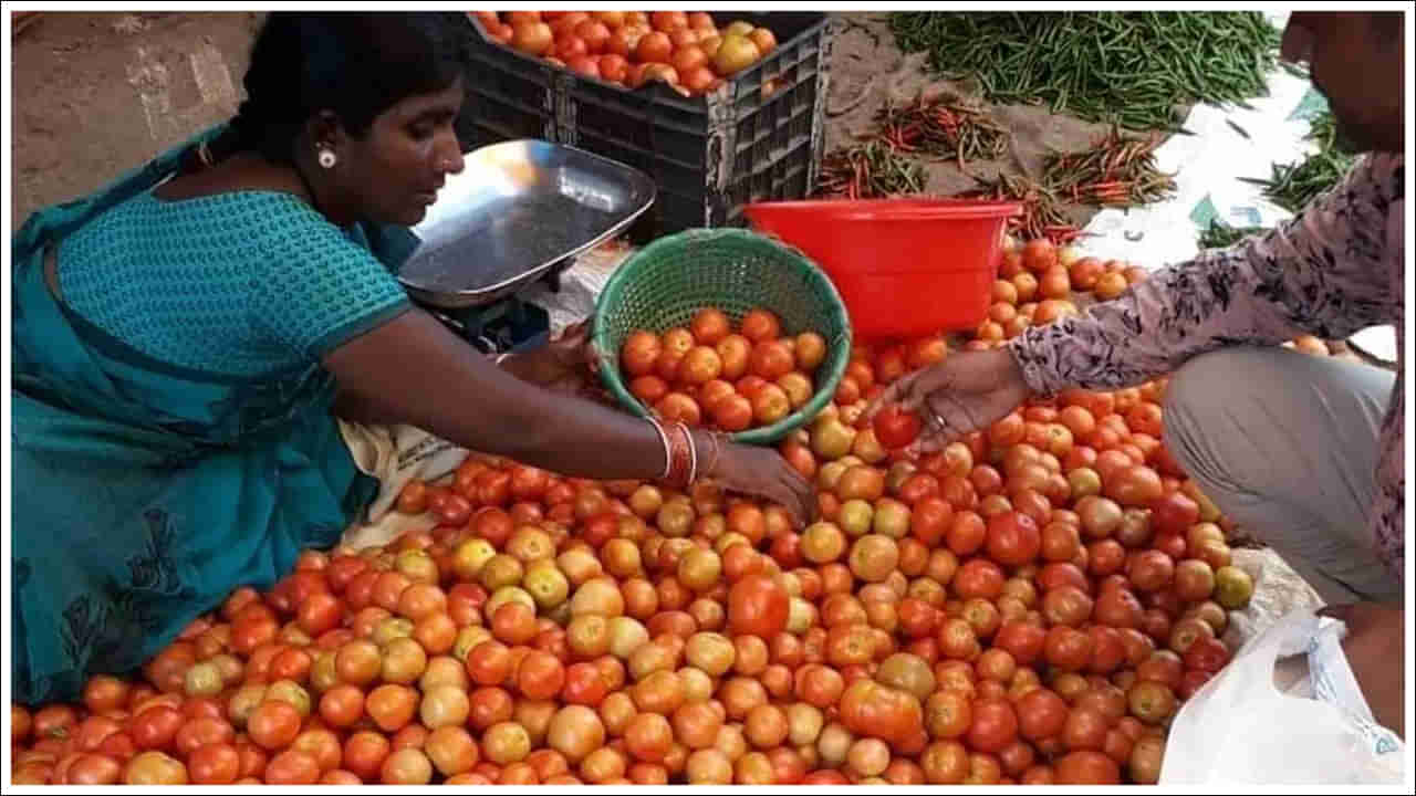 Tomato Price: వినియోగదారులకు గుడ్‌న్యూస్‌.. సగానికి పడిపోయిన టమోట ధర.. ప్రస్తుతం ఎంతంటే..