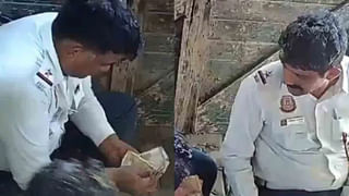 3000 ఏళ్లనాటి మొసలికి సిటీ స్కాన్‌ చేసిన వైద్యులు.. ఏం తిన్నదో తెలిసిపోయింది..!