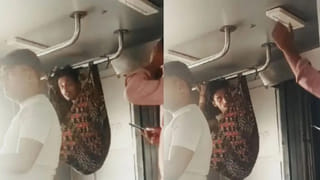 Viral Video: బతికితే ఈ గేదెలా బతకాలి.. సింహాల మందపైకి దూసుకెళ్లింది..