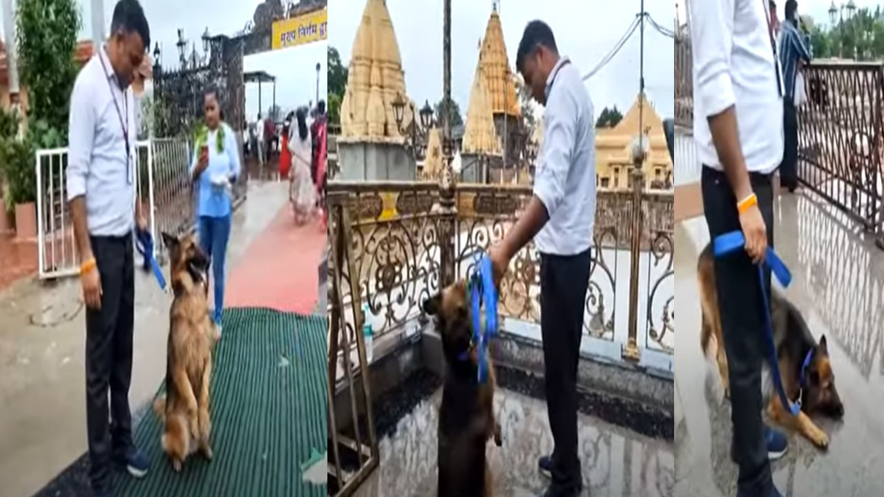 Dog Khali: ఈ కుక్క శివయ్య భక్తుడు.. డ్యుటీకి ముందు శివయ్యకు నమస్కారం, శ్రావణ సోమవారంలో ఉపవాసం..