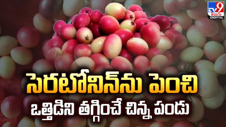 Vakkaya: వాక్కాయ ప్రయోజనాలు తెలిస్తే అస్సలు వదలరు.. Vakkaya: వాక్కాయ ప్రయోజనాలు తెలిస్తే అస్సలు వదలరు..