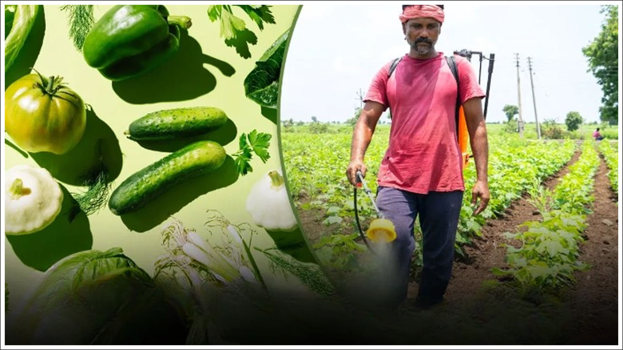 Vegetables: కూరగాయల్లో ఉపయోగించే పురుగు మందుల వల్ల ఏ అవయవాలు దెబ్బతింటాయో తెలుసా?