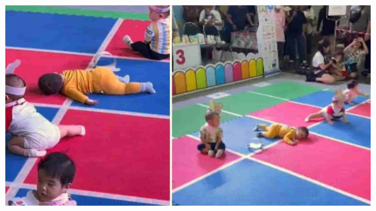 Viral Video: క్రాలింగ్ పోటీ మధ్యలో కునుకు తీస్తున్న బుడ్డోడు.. వీడియో చూస్తే నవ్వు ఆపుకోలేరు..