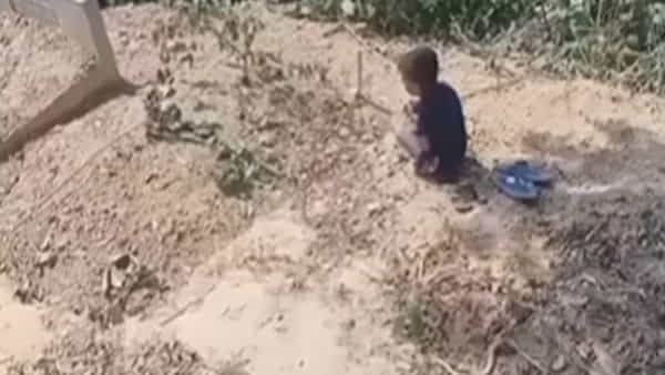 Viral Video: స్మశానంలో తల్లి సమాధి దగ్గర రా అమ్మా అంటూ విలపిస్తున్న చిన్నారి బాలుడు.. కన్నీరు పెట్టిస్తున్న వీడియో