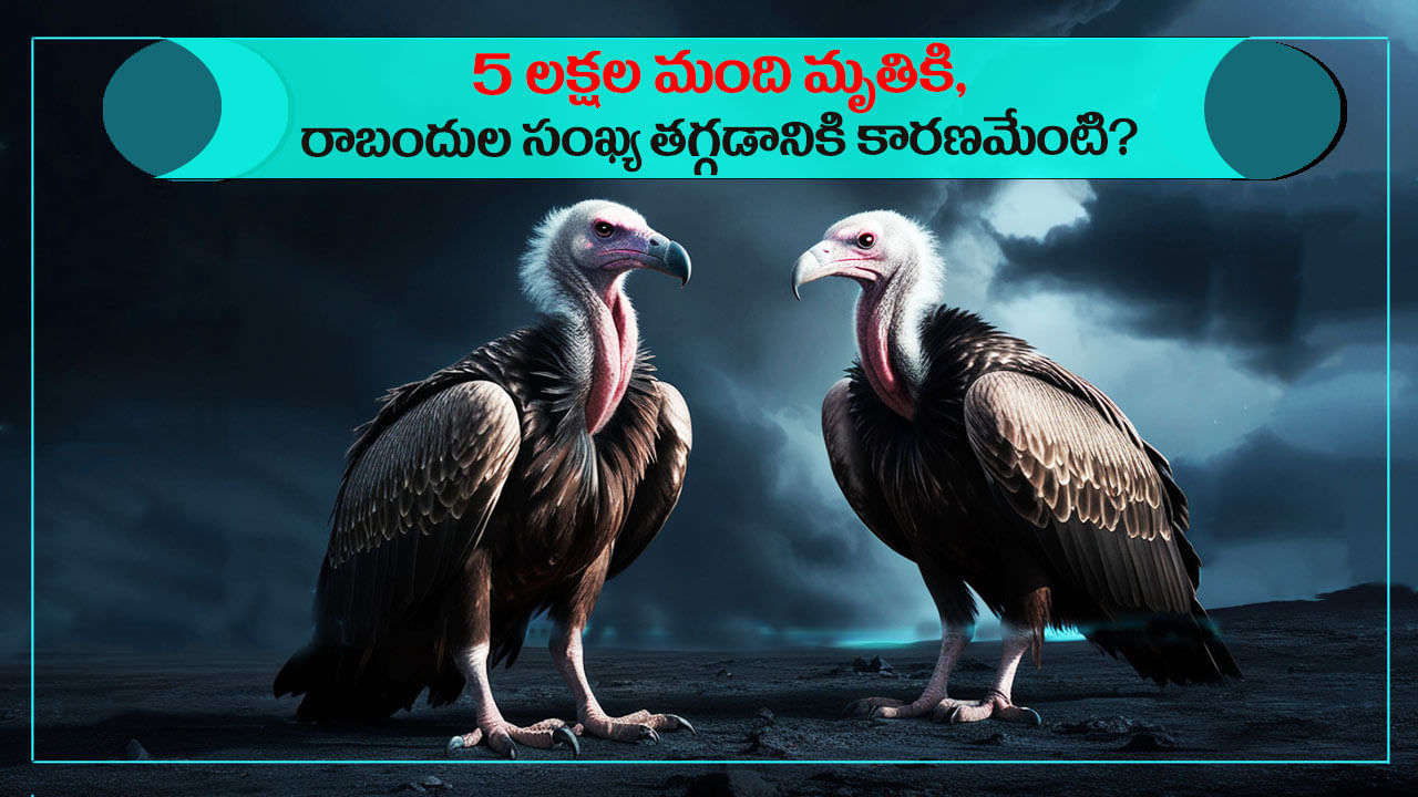 Vulture Population: దేశంలో 5 లక్షల మంది మృతికి, 70 బిలియన్ డాలర్ల ఆరోగ్య సంక్షోభానికి కారణమైన రాబందులు.. ఎలా?