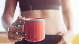 సుగంధ పాల వేర్ల రహస్యం తెలిస్తే.. ఎక్కడున్నా వెతుక్కుంటూ ఇంటికి తెచ్చుకుంటారు.. ఆరోగ్య ప్రయోజనాలు పుష్కలం..!