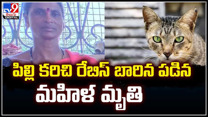 Cat Rabies: పిల్లి కరిచి రేబిస్ బారిన పడిన మహిళ మృతి.! ఐదు డోసులకి బదులు ఒకటే.. Cat Rabies: పిల్లి కరిచి రేబిస్ బారిన పడిన మహిళ మృతి.! ఐదు డోసులకి బదులు ఒకటే..