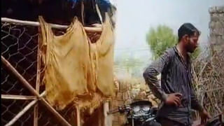 Dog Khali: ఈ కుక్క శివయ్య భక్తుడు.. డ్యుటీకి ముందు శివయ్యకు నమస్కారం, శ్రావణ సోమవారంలో ఉపవాసం..