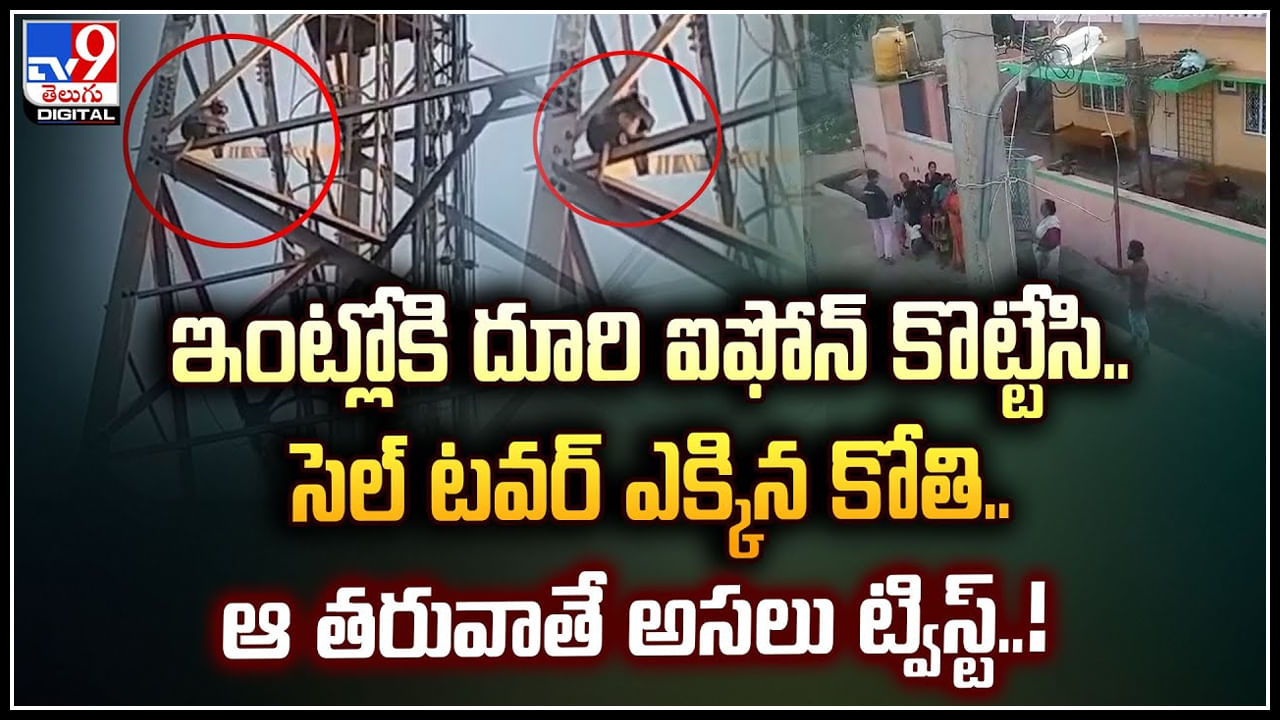 Monkey Viral: ఇంట్లోకి దూరి ఐఫోన్ కొట్టేసి.. సెల్ టవర్  ఎక్కిన కోతి.. ఆ తరువాతే అసలు ట్విస్ట్.!