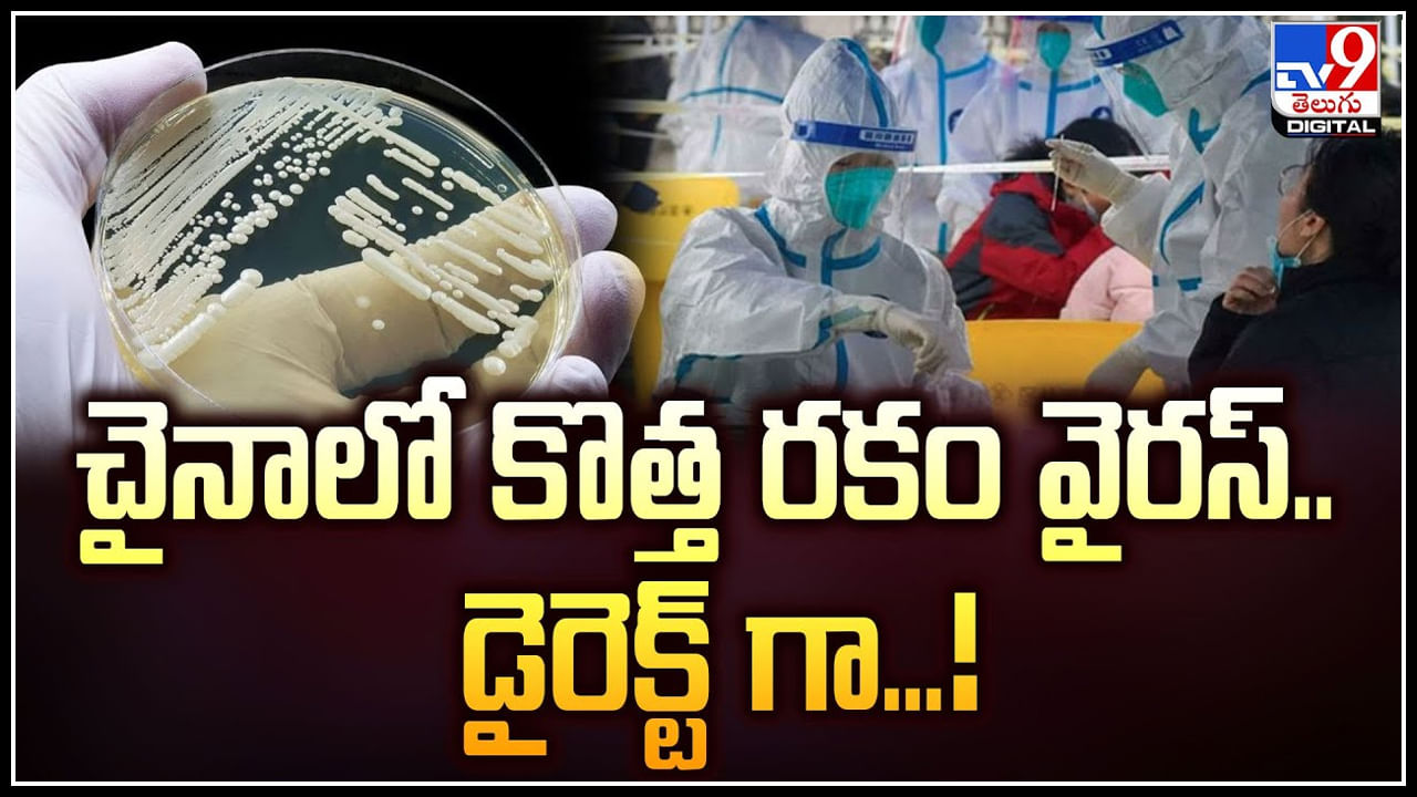 Wetland virus: చైనాలో కొత్త రకం వైరస్‌.. ఈసారి డైరెక్ట్‌ గా అది డేమేజ్ అవుతుంది.!