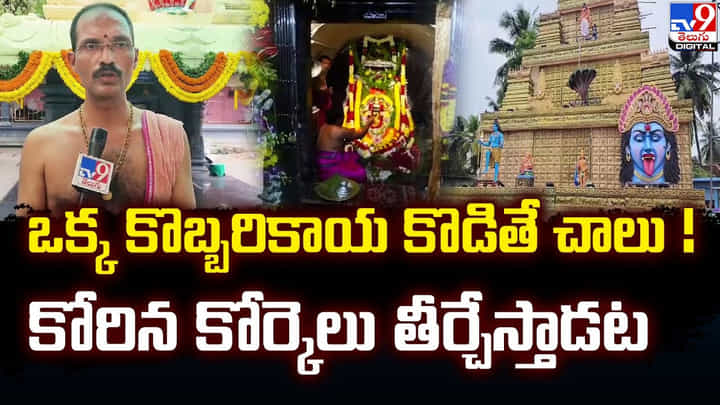 ఒక్క కొబ్బరికాయ కొడితే చాలు !! కోరిన కోర్కెలు తీర్చేస్తాడట ఒక్క కొబ్బరికాయ కొడితే చాలు !! కోరిన కోర్కెలు తీర్చేస్తాడట