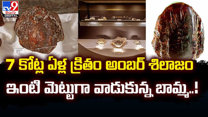 7 కోట్ల ఏళ్ల క్రితం అంబర్ శిలాజం !! ఇంటి మెట్టుగా వాడుకున్న బామ్మ !! 7 కోట్ల ఏళ్ల క్రితం అంబర్ శిలాజం !! ఇంటి మెట్టుగా వాడుకున్న బామ్మ !!