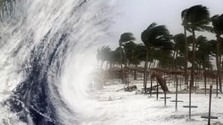 AP News: పక్షుల కోసం పెట్టిన వలలో చిక్కిన వింత ఆకారం.. ఏంటని చూడగా గుండె గుభేల్