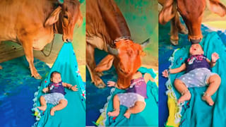 ముక్కు నుండి నిరంతరాయంగా నీళ్లు కారుతున్నాయంటూ యువకుడి ఫిర్యాదు.. షాకింగ్‌ విషయం చెప్పిన వైద్యులు