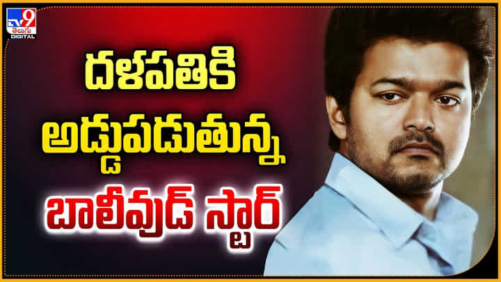 Thalapathy Vijay 69th: దళపతికి చివరి సినిమాకి అడ్డుపడుతున్న బాలీవుడ్ స్టార్.! Thalapathy Vijay 69th: దళపతికి చివరి సినిమాకి అడ్డుపడుతున్న బాలీవుడ్ స్టార్.!