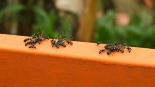 World Tourism Day: బిజీ లైఫ్ నుంచి ఉపశమనం కోసం మనదేశంలో ఈ ప్రదేశాలను తప్పనిసరిగా సందర్శించండి..