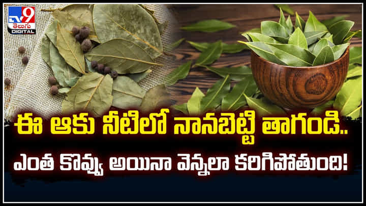 Bay leaf's: ఈ ఆకు నీటిలో నానబెట్టి తాగండి.. ఎంత కొవ్వు అయినా వెన్నలా కరిగిపోతుంది! Bay leaf's: ఈ ఆకు నీటిలో నానబెట్టి తాగండి.. ఎంత కొవ్వు అయినా వెన్నలా కరిగిపోతుంది!
