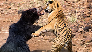 Cardiac Arrest: నీరుగారి పోతున్న లేత గుండెలు.. దిగ్గజ ఐటీ కంపెనీ వాష్‌రూంలో గుండె పోటుతో ‘టెకీ’ మృతి!