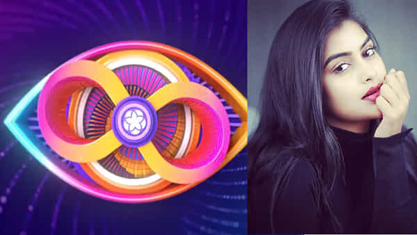 Bigg Boss 8 Telugu: బిగ్బాస్లోకి ఆర్జీవీ హీరోయిన్.. హౌస్లో అందాల భామ.. ఎవరంటే..