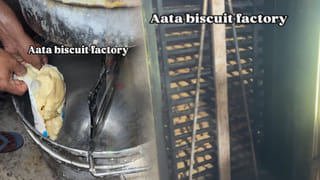 Video Viral: అరె ఎంతకు తెగించార్రా మీరు!.. వెరైటీ కోసం ఐస్ క్రీమ్‌ని ఇలా కూడా చేస్తారా..!