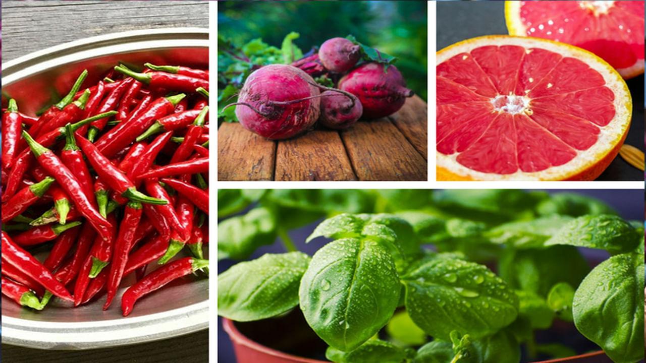 Blood Purification: ఒంట్లో రక్తాన్ని ఒడబోసి శుభ్రపరిచే ఆహారాలు.. వీటిని తింటే రోగాలన్నీ పరార్