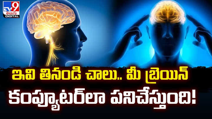 ఇవి తినండి చాలు.. మీ బ్రెయిన్ కంప్యూటర్లా పనిచేస్తుంది !! ఇవి తినండి చాలు.. మీ బ్రెయిన్ కంప్యూటర్లా పనిచేస్తుంది !!