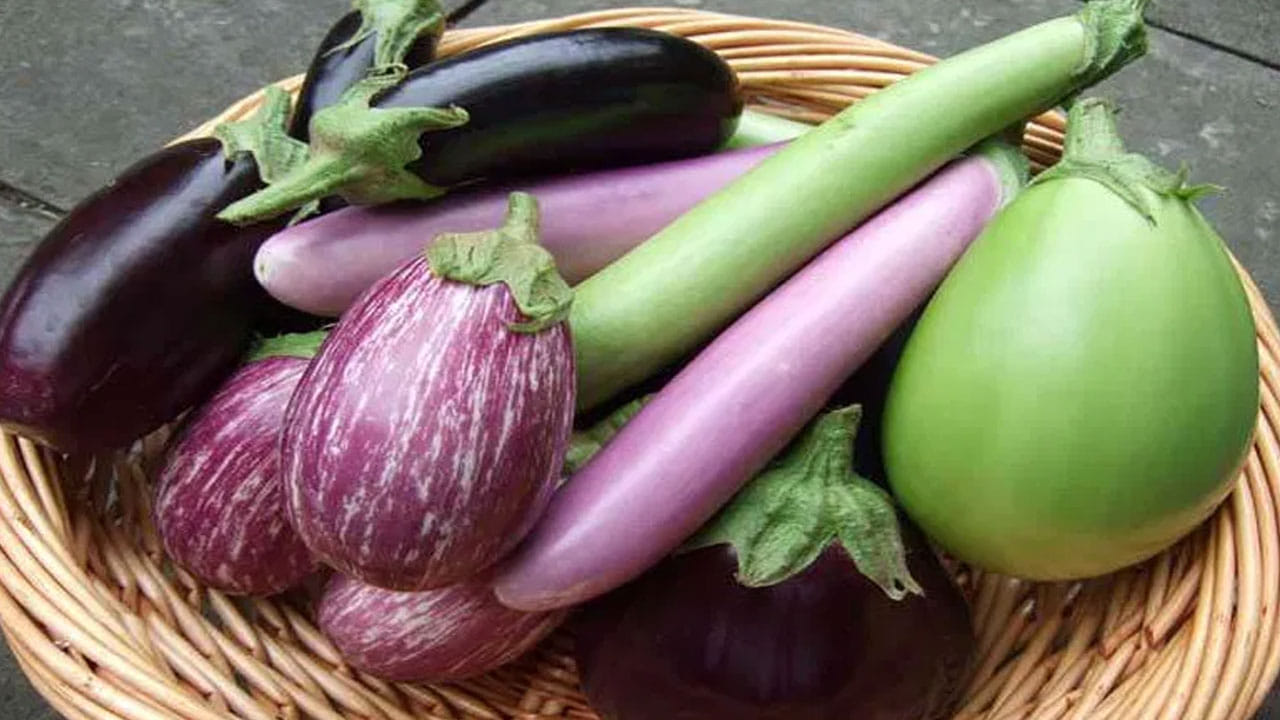 వంకాయ చాలా మందికి ఇష్టమైన కూరగాయ. వంకాయ రుచిని చిన్నాపెద్దా అనే తేడా లేకుండా అందరూ మెచ్చుకుంటారు.. ఇష్టంగా తింటారు.. వంకాయను కూర, ఫ్రై, చట్నీ ఇలా .. ఎన్నో రకాలుగా చేసుకుని ఆరగిస్తారు. వీటిల్లో ఎన్ని రకాలున్నా.. సరే వాటన్నింటిని పలు రకాలుగా తయారు చేసుకుని ఇష్టంగా తింటారు. దీనివల్ల ఎన్నో ఆరోగ్య ప్రయోజనాలున్నాయి.. దీనిలోని పోషకాలు ఆరోగ్యానికి మేలు చేస్తాయి.. అయితే, వంకాయ తినడం కొందరికి విషంలా హానికరం కావొచ్చు.. ఎందుకంటే.. కొన్ని అనారోగ్య సమస్యలున్న వారు వంకాయను తినకపోవడమే మంచిది. ఈ రోజు మనం వంకాయ తినడం వల్ల ఆరోగ్య పరిస్థితిని మరింత దిగజార్చగల ఐదు సమస్యల గురించి మీకు చెప్పబోతున్నాం. ఈ ఐదు సమస్యలు ఉన్నవారు వంకాయను ఎప్పుడూ తినకూడదు.. ఎందుకంటే వంకాయ తినడం వారికి తీవ్రంగా హాని కలిగిస్తుంది.