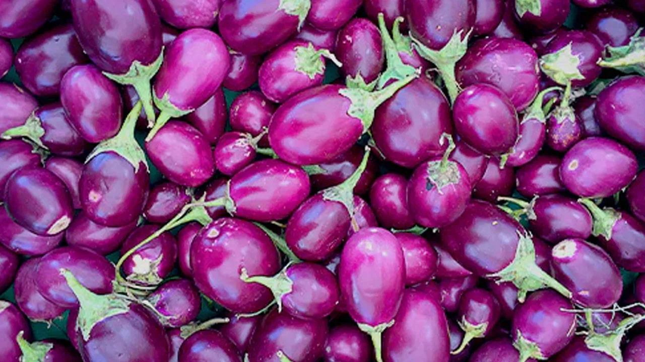 రక్తహీనత: రక్తహీనతతో బాధపడేవారు కూడా వంకాయ తినకూడదు. ఆరోగ్య నిపుణుల అభిప్రాయం ప్రకారం. వంకాయలో శరీరంలో ఐరన్ శోషణను తగ్గించే అంశాలు ఉన్నాయి. దీని కారణంగా, రక్తం లేకపోవడం సమస్య తీవ్రమవుతుంది. రక్తహీనత ఉన్నవారు వంకాయను తినకూడదు.