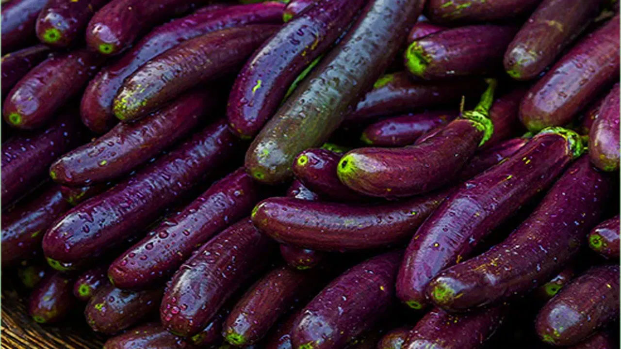 అలర్జీలు : చాలా సందర్భాలలో వంకాయ తినడం వల్ల అలర్జీ వస్తుంది. వంకాయ తిన్న తర్వాత మీకు ఇలా అనిపిస్తే, మీ వైద్యుడిని సంప్రదించండి.. వంకాయ తినడం మానేయండి. ఇంకా ఏమైనా అనారోగ్య సమస్యలు ఉంటే వంకాయ తినకుండా ఉండటం చాలా మంచిది.