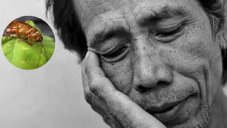 Rebecca Cheptegei: పారిస్ ఒలింపిక్ క్రీడాకారిణి రెబెక్కాపై పెట్రోల్ పోసి నిప్పంటించిన ప్రియుడు..చికిత్స పొందుతూ మృతి