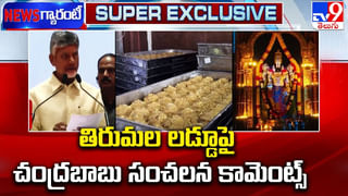 Tirupati Laddu: శ్రీవారి లడ్డూ వివాదం.. ఇంతకీ సంవత్సరానికి ఎంత నెయ్యి కావాలంటే.?