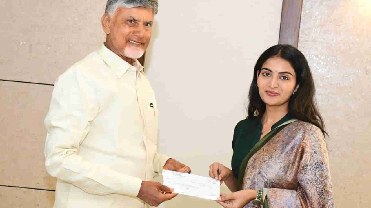 Ananya Nagalla: సీఎం చంద్రబాబును కలిశాను..చాలా సంతోషంగా ఉంది.. వరద బాధితులకు సాయం చేసిన ఏకైక హీరోయిన్