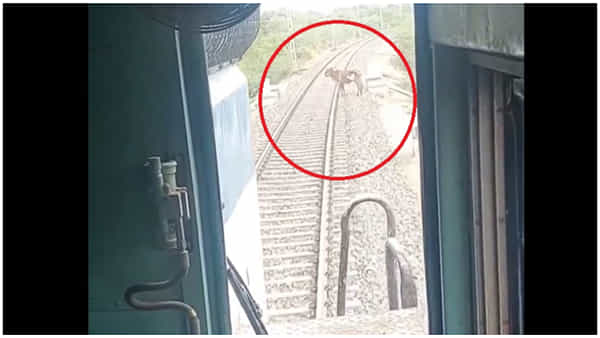 Viral Video: రైల్వే ట్రాక్ క్రాస్ చేస్తోన్న ఆవు.. లోకో పైలట్ చేసిన పనికి హ్యాట్సాఫ్ చెప్పాల్సిందే..!