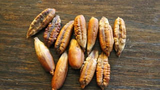 Egg Keema Masala: ఎగ్ కీమా మసాలా.. చపాతీలతో తింటే అదిరిపోతుంది..