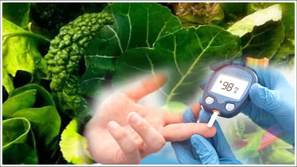 Diabetes: ఈ ఐదు ఆహారాలతో షుగర్ లెవల్స్ అదుపులో.. అద్భుతమైన ఫుడ్స్