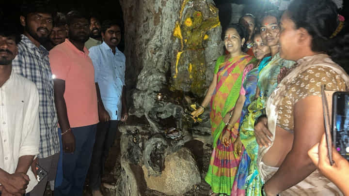Watch: చింత చెట్టులో వెలసిన దుర్గామాత..! అమ్మ వారికి పూజలు చేస్తున్న భక్తులు Watch: చింత చెట్టులో వెలసిన దుర్గామాత..! అమ్మ వారికి పూజలు చేస్తున్న భక్తులు