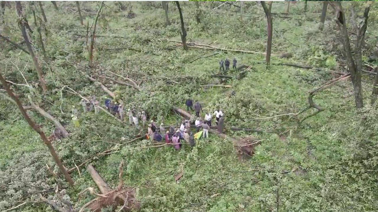 Wildlife Sanctuary: విరిగిపడ్డ వేలాది చెట్లు.. వాటితో అటవీ శాఖకు లాభం ఎంత..? నష్టం ఎంత..?