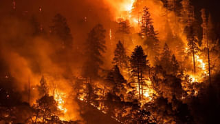 Pakistan: కర్మ ఫలం అనుభవిస్తున్న పాకిస్తాన్.. దాయాది దేశాన్ని వెంటాడుతోన్న పాపాలు