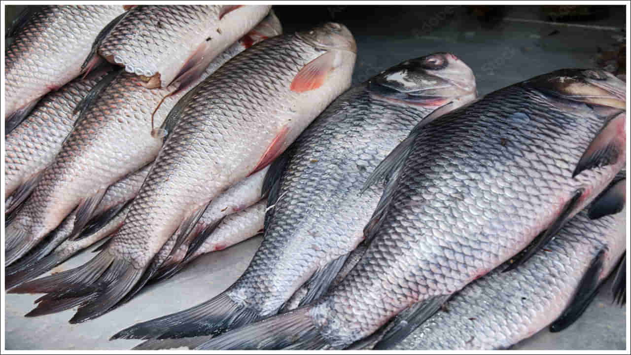 Fish Benefits: చేపలు తినడం వల్ల 5 అద్భుతమైన ప్రయోజనాలు.. అవేంటో తెలిస్తే..